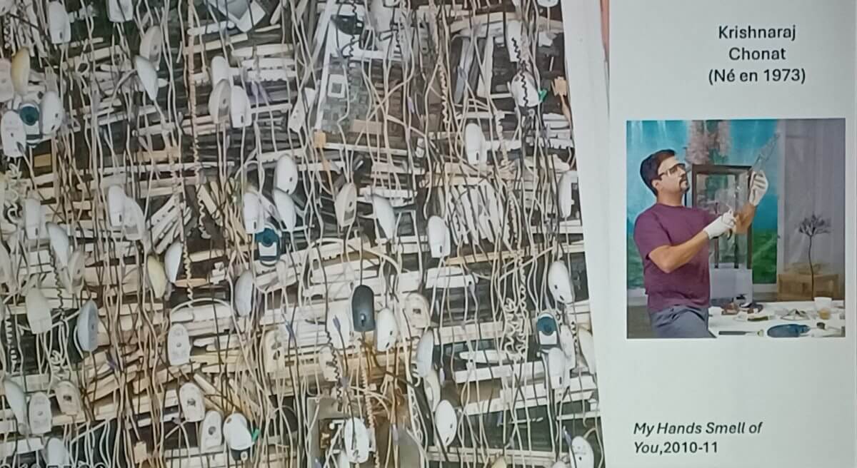 x1 Art contemporain : Afrique, Brésil, Chine